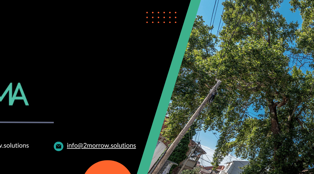 How we built a custom WordPress website that helps a non-profit grow its impact?